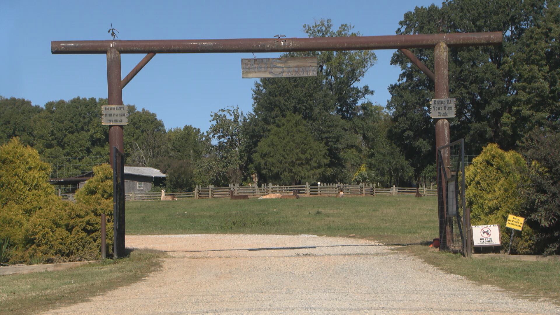 Woman dies after falling from horse-drawn wagon at ranch