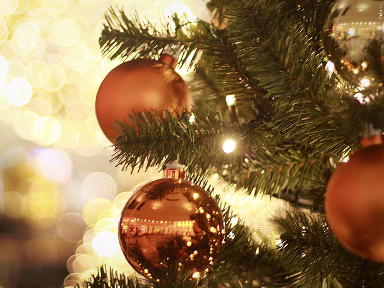 Guide to the 2026 Holiday Season across the Cape Fear region