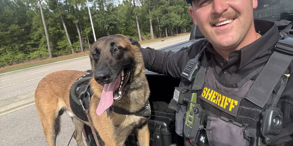 Brunswick County K9 team recognized for tracking down endangered hospital patient