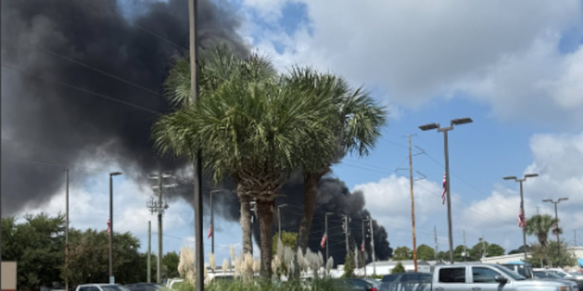 www.wect.com