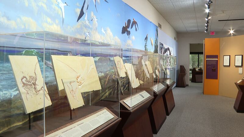 Dinosaurs Take Flight exhibition at the Cape Fear Museum of History and Science in Wilmington