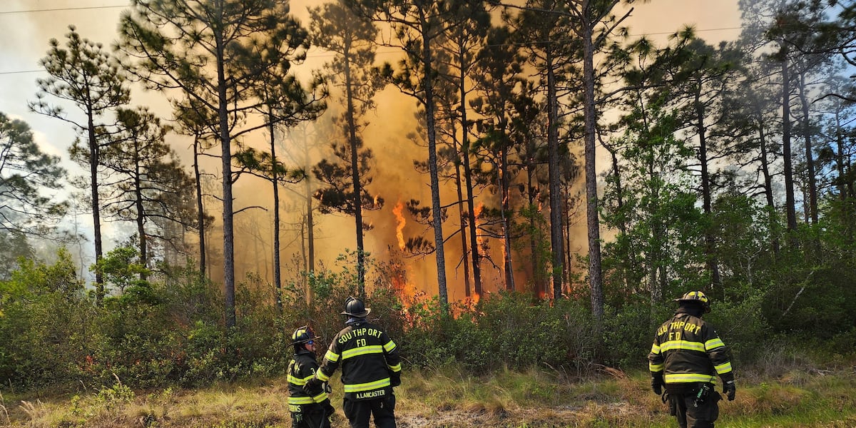 More evacuations ordered as high winds cause Boiling Spring Lakes fire ...
