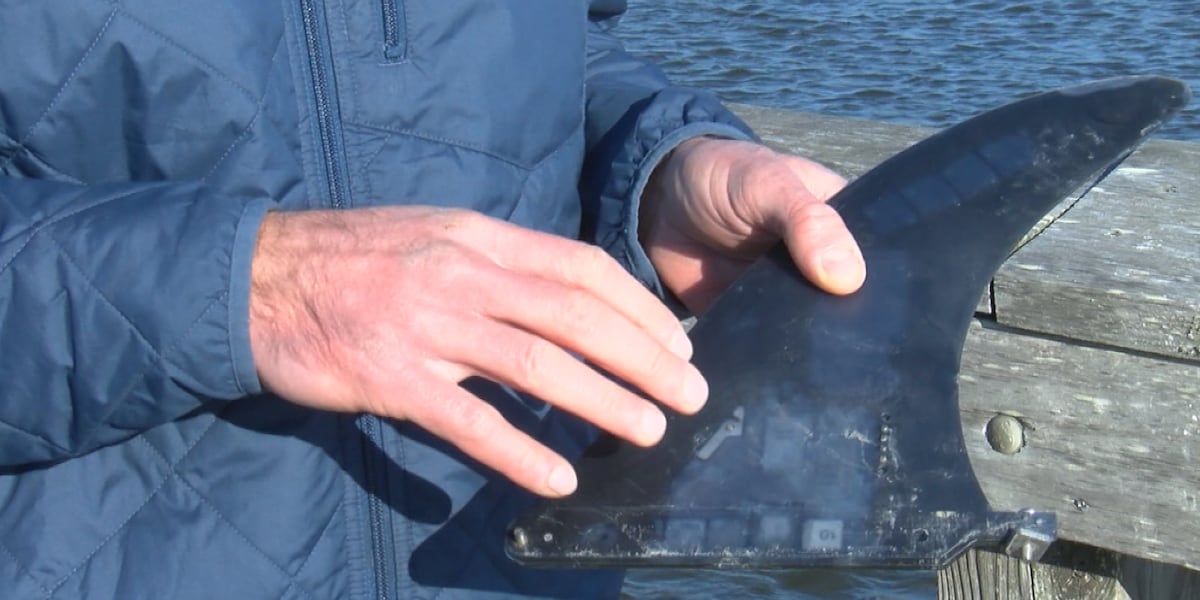 ‘It was a cut that was five, six inches deep’: Man shares story of near ...