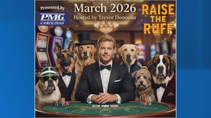 Actor Trevor Donovan, who shot the Hallmark movie