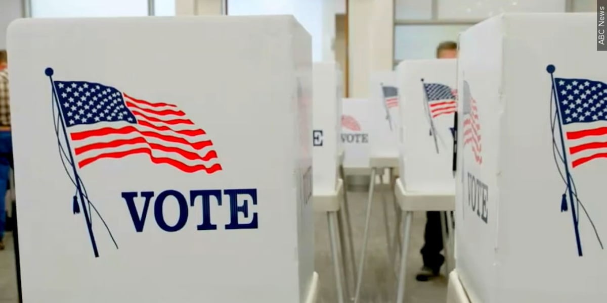 Wilmington man among those chosen for elections board by North Carolina auditor