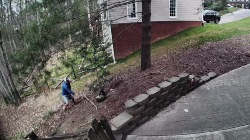 Man fights off raccoon attacking his dog.