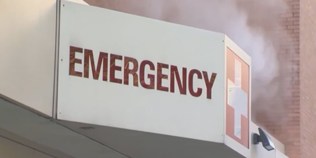 Revolutionizing Mental Health Support: NC Department of Health Invests $20 Million in Innovative Transportation Program