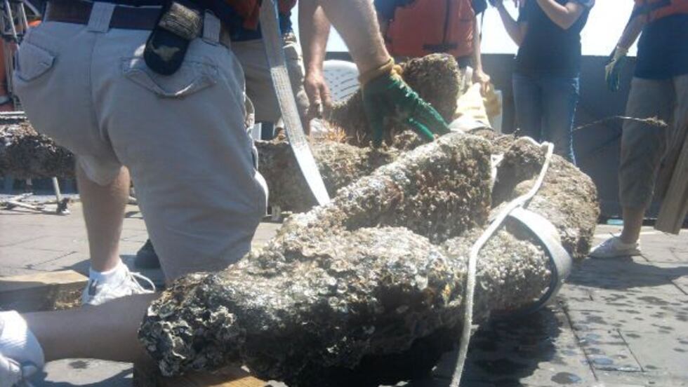 Anchor being recovered from the ocean floor.