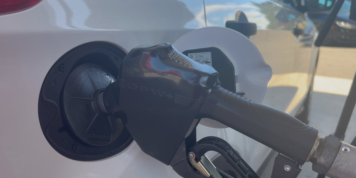 Photo: wect.com North Carolina Lawmakers Approve Temporary Gas Tax Suspension to Lower Fuel Prices