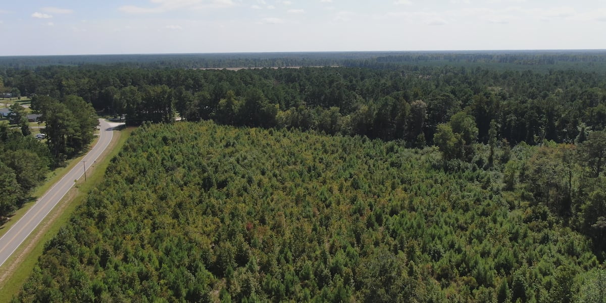 Brunswick County could become home to the first U.S. deep-sea minerals plant