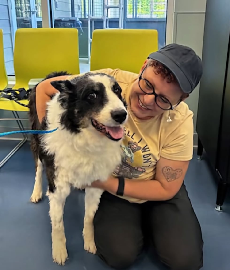 Rio reunited with his owner at Guilford County Animal Services