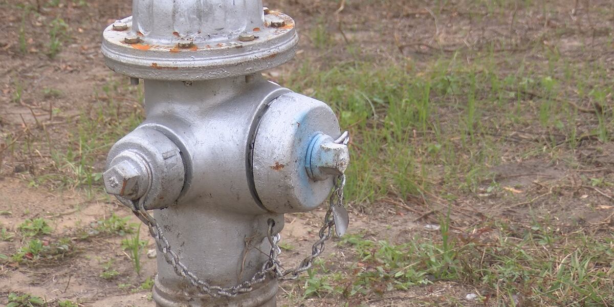 Fire Hydrant Injuries A closer look at damaged fire hydrants, repair efforts in Wilmington