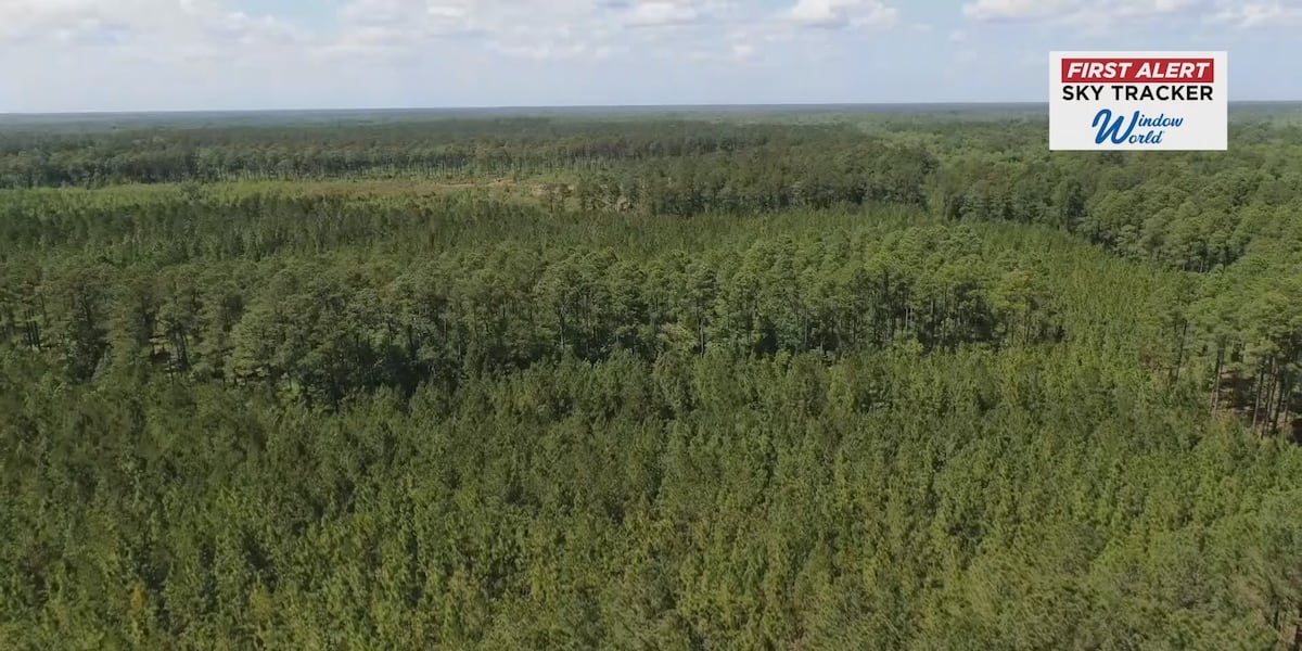 Coastal Land Trust buys 3,200 acres of Sledge Forest amid development fight