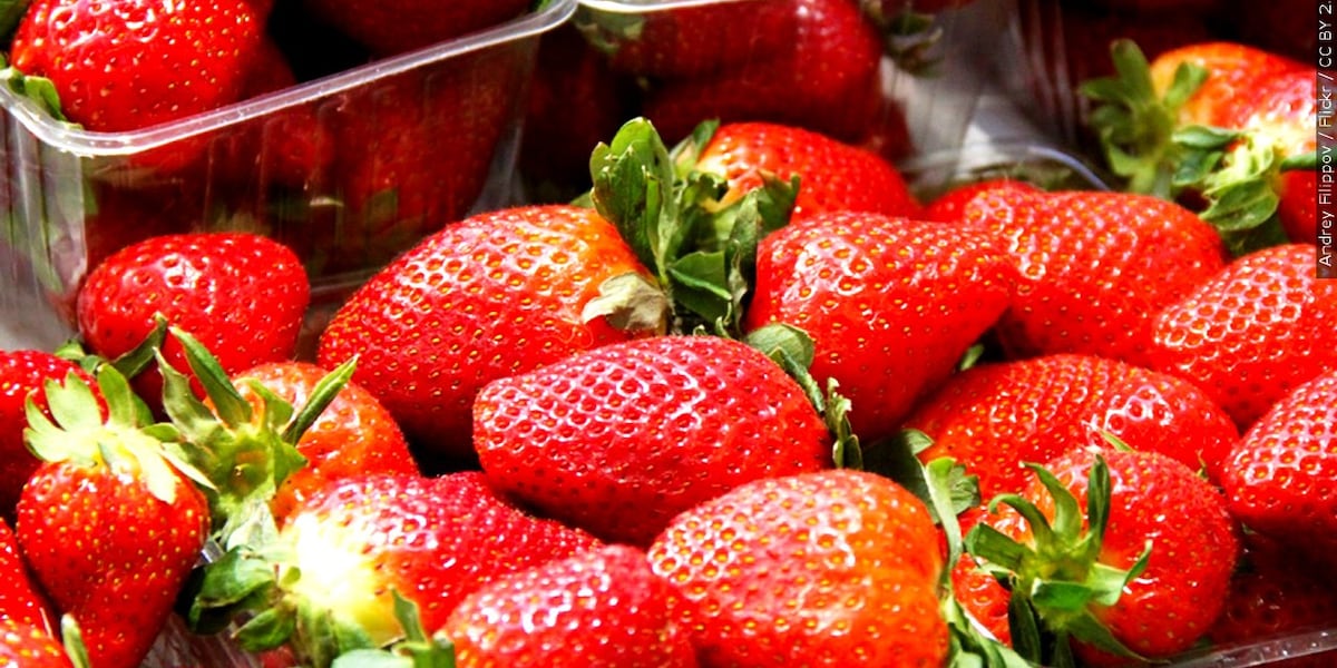 Ягодный фестиваль и цветочная выставка в Уайтвилле