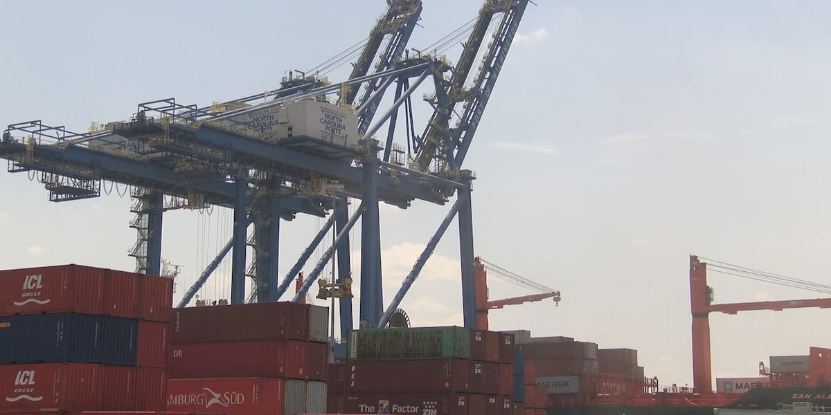 ‘Potential for irrevocable damage’: Wilmington Harbor 403 expansion project raises environmental concerns