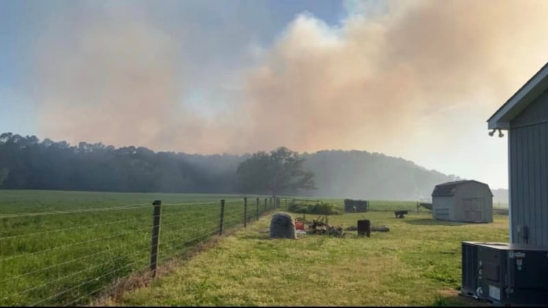 Crews contain fire that spread to 60 acres near Boiling Spring Lakes