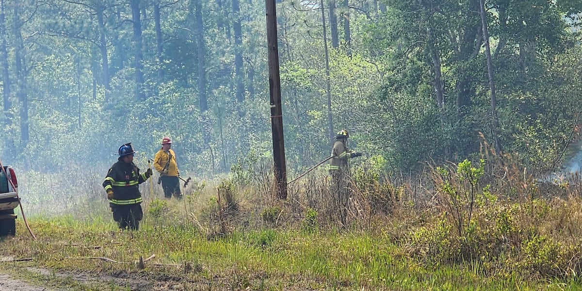 Lake Spring Fire Update on Boiling Spring Lakes fire