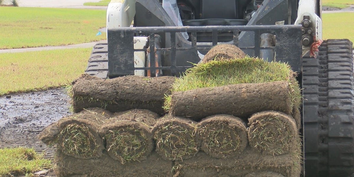 ‘Mother Nature is Mother Nature': Wilmington sod farmer navigates severe drought