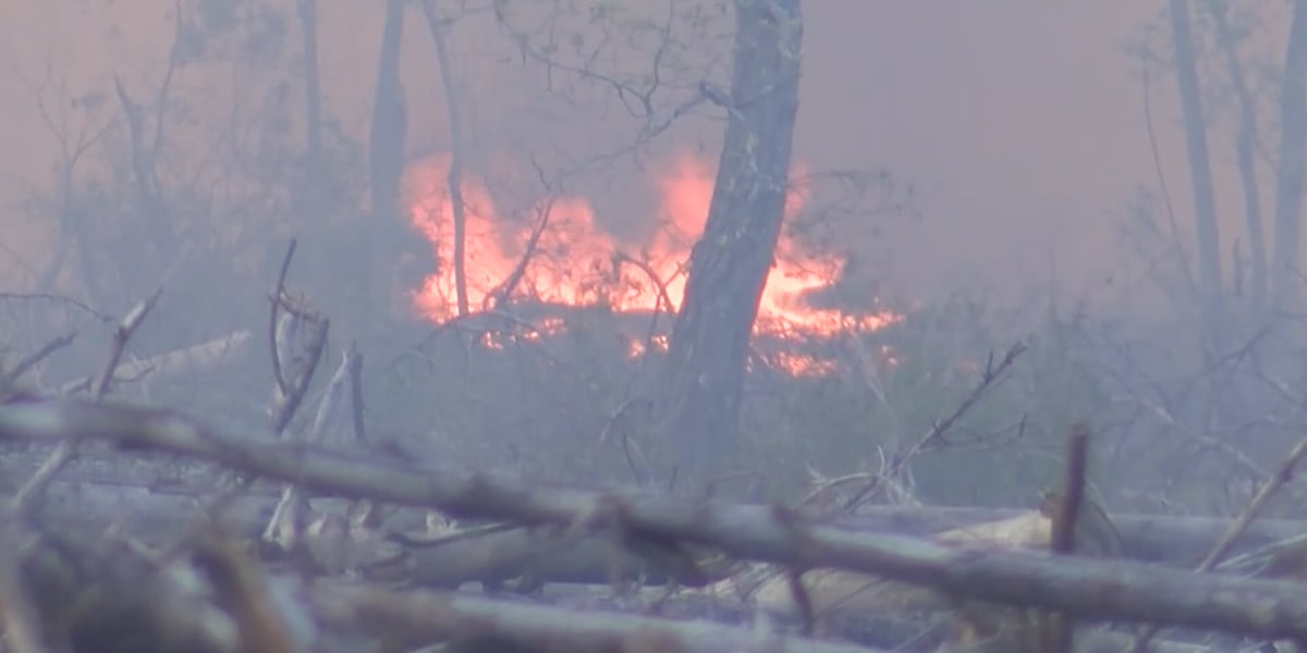 UPDATE: Boiling Spring Lakes fire at 95% containment