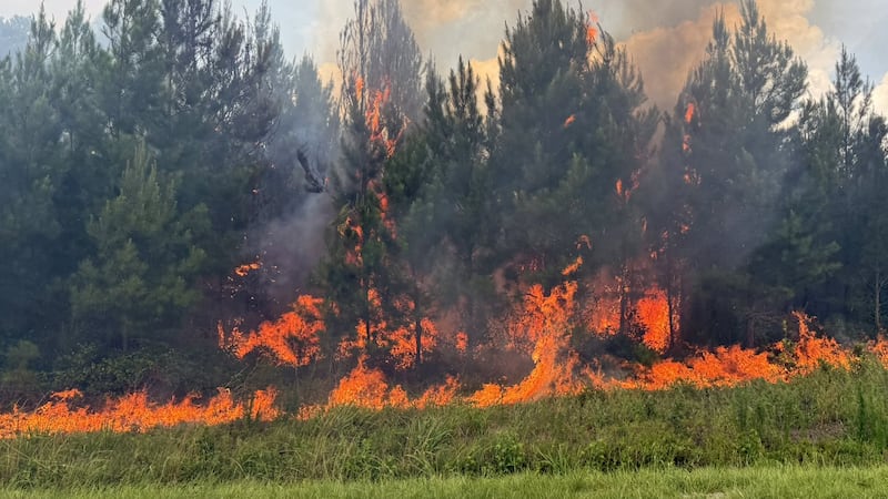 Funston Road fire