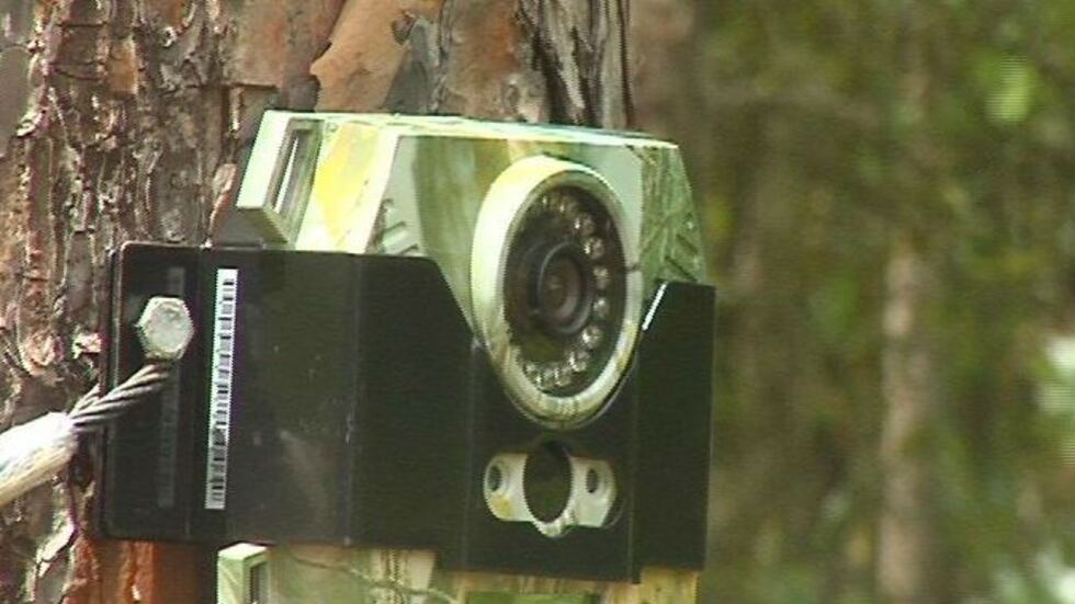 Officials with the Department of Parks and Recreation say they bought two surveillance cameras...