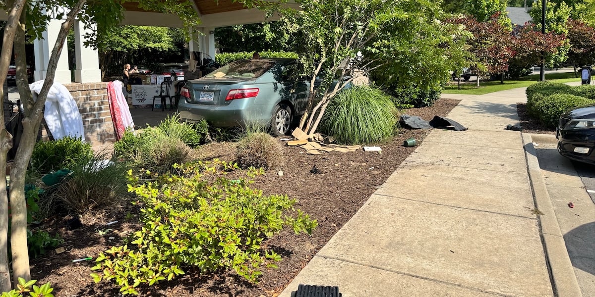 Vehicle crashes into Wilmington Farmers Market, injuring several pedestrians