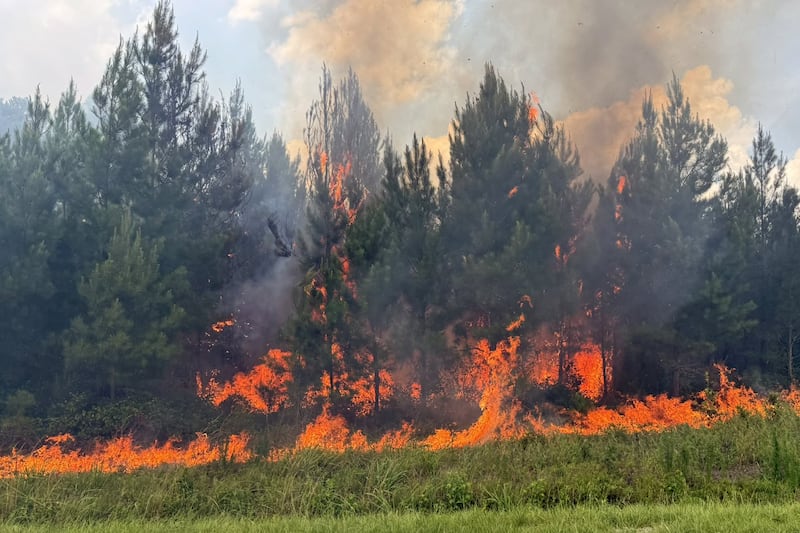 Firefighters contain wildfire along Funston Road in Winnabow