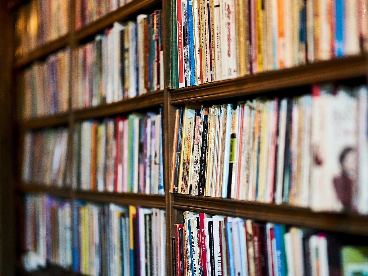 Профессор университета пишет детские книги для борьбы с кризисом чтения