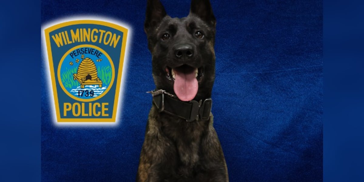 Wilmington police seek property donations for K-9 training