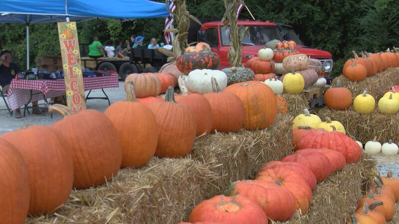 2024 Fall Themed Festivals