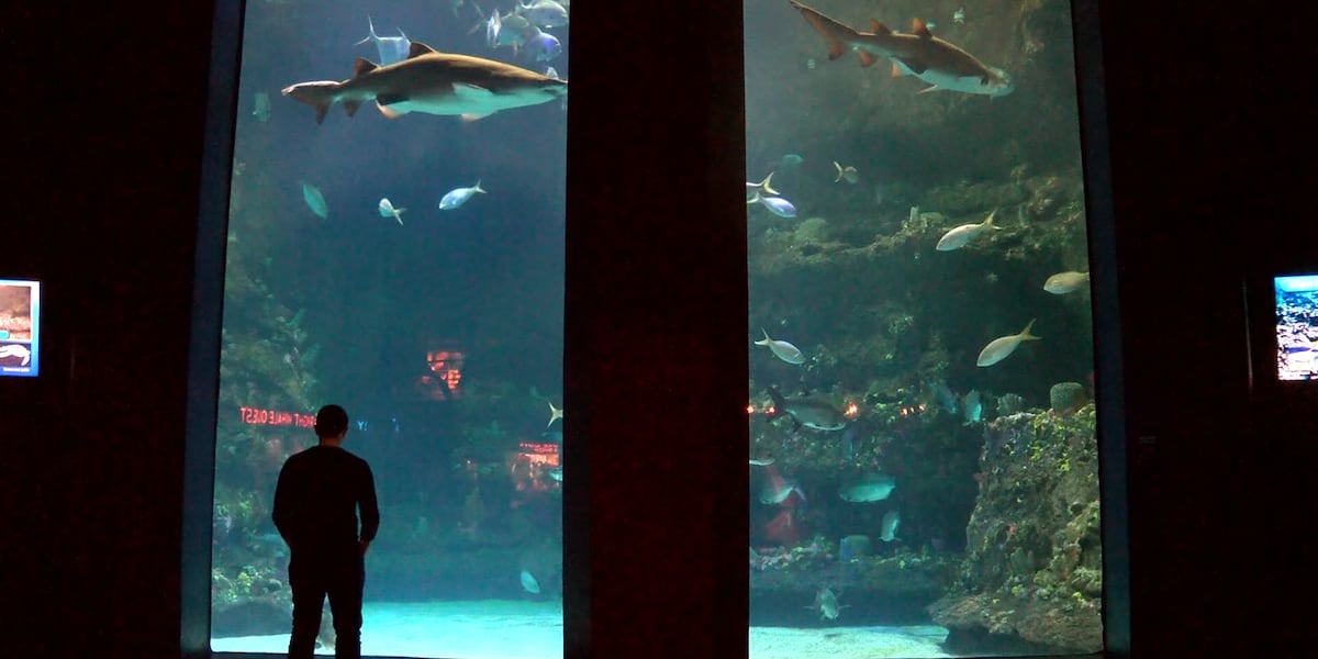 NC Aquarium at Fort Fisher closed for major renovation.