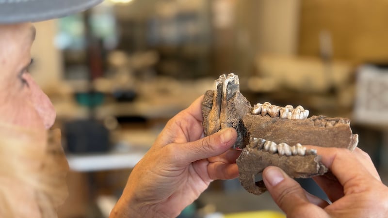 Some artifacts dating back to 1760's