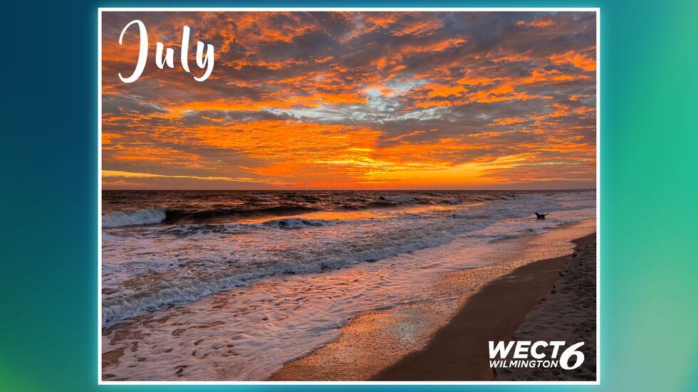 WECT announces all winners of the 2025 Collector s Calendar Contest WECT announces all winners of the 2025 Collector s Calendar Contest