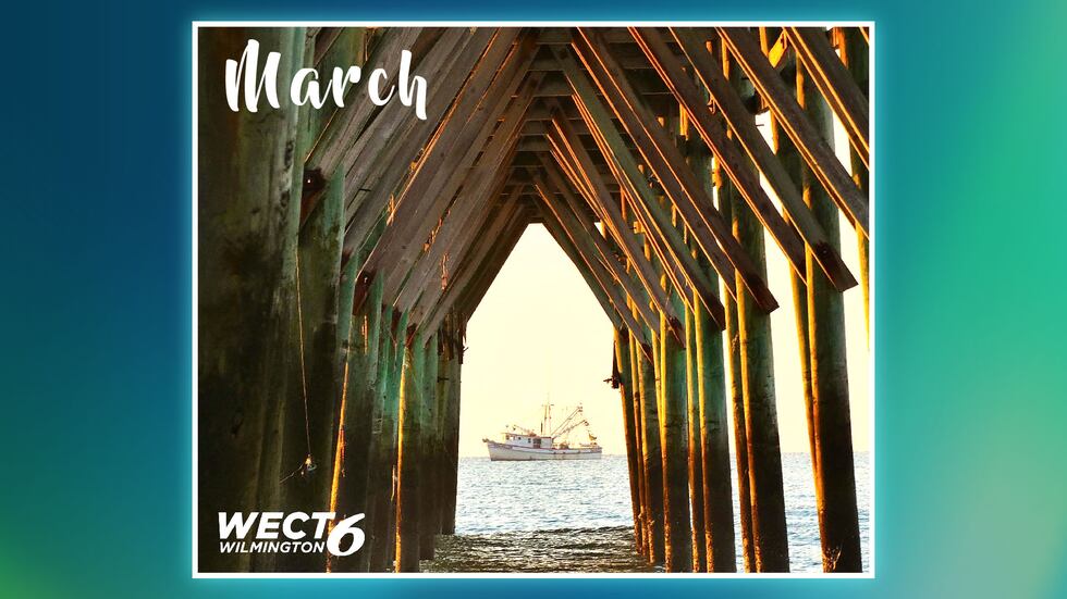 WECT announces all winners of the 2025 Collector s Calendar Contest WECT announces all winners of the 2025 Collector s Calendar Contest