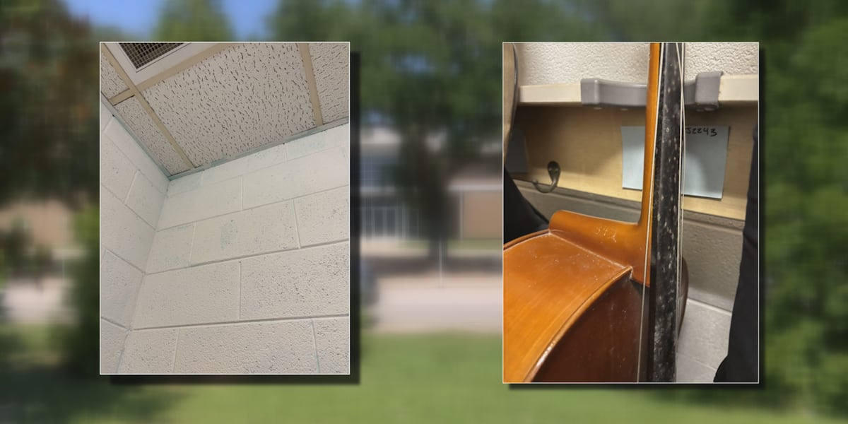 Mold found in band rooms at 3 New Hanover County schools