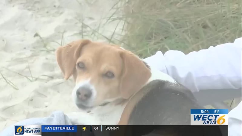 At their meeting, the Board of Aldermen referred the discussion back to the planning board for...