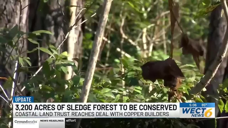 A conservation agreement between the North Carolina Coastal Land Trust and developer Copper...