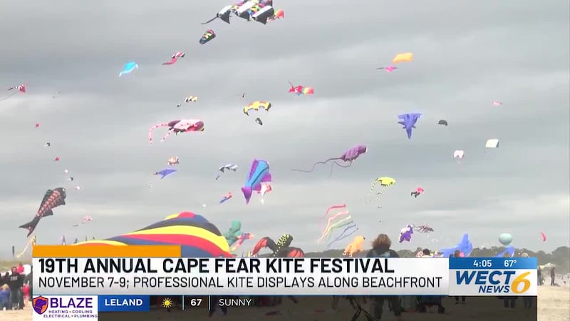 Over 80 professional flyers will take to the sky with kites of all different shapes and sizes...